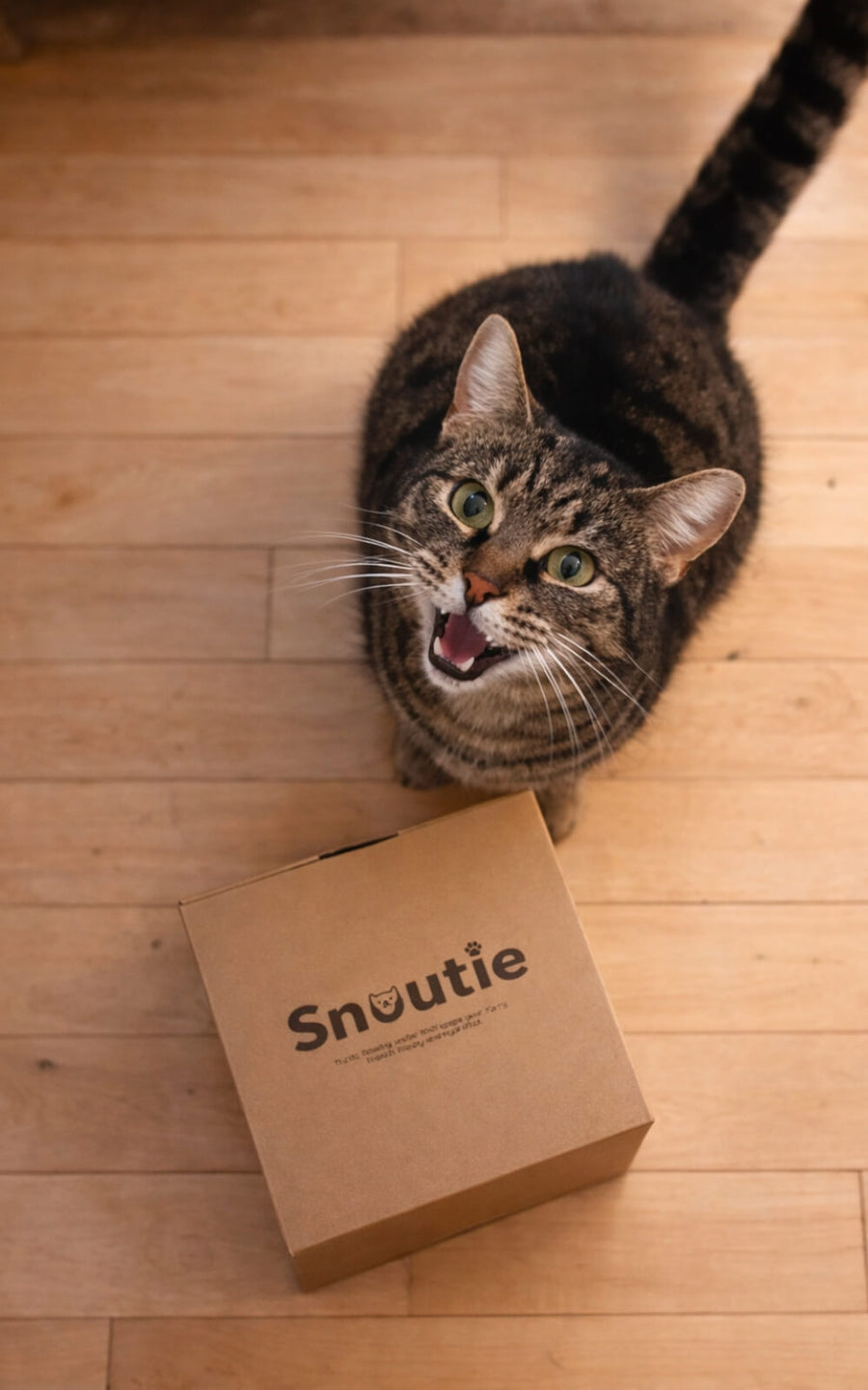 Person holder damprenser i hånden