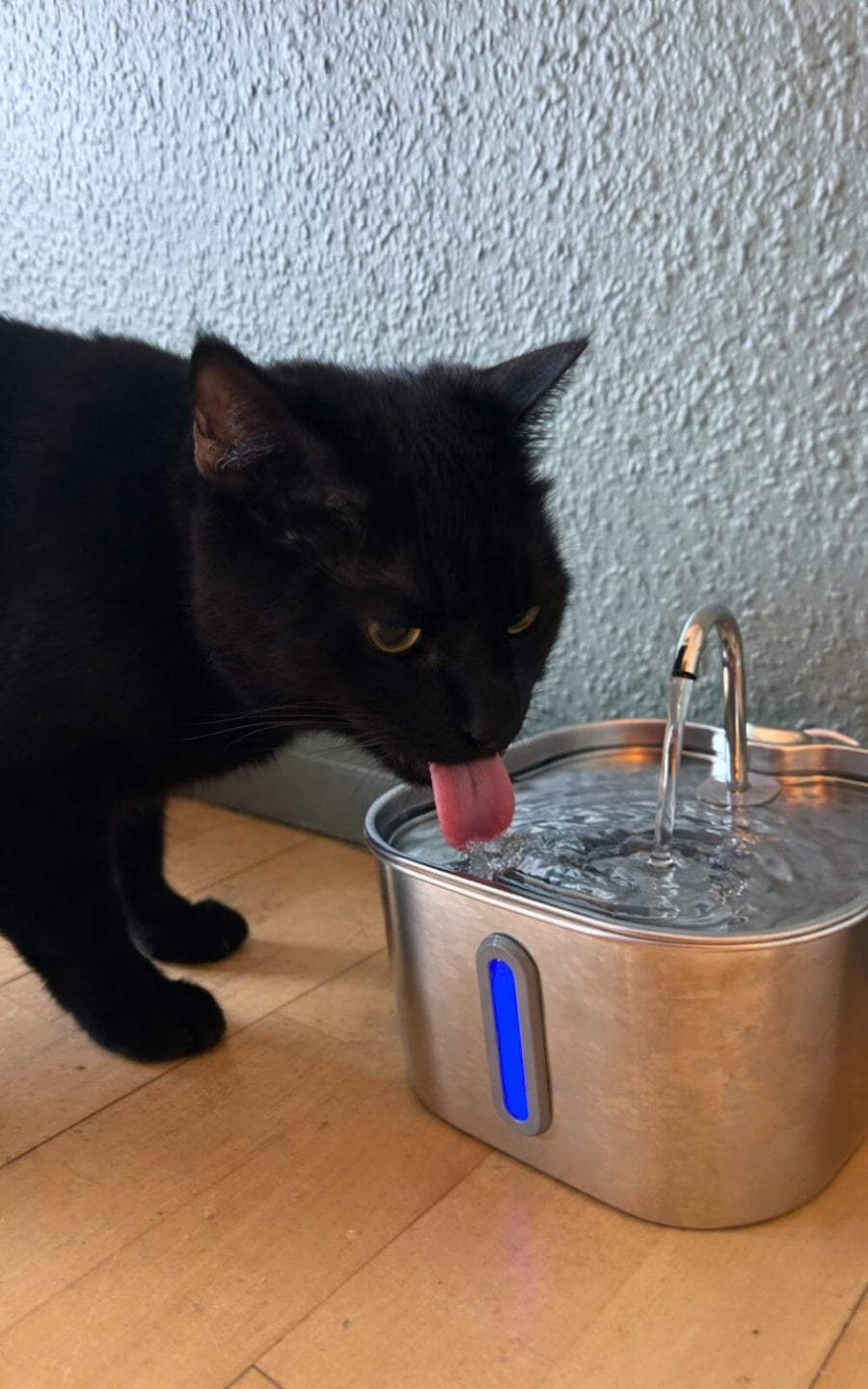 Person holder damprenser i hånden