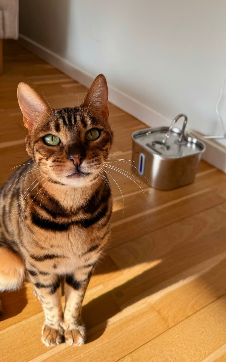 Person holder damprenser i hånden