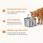 SnoutiePot™ - 2.2L Drinking Fountain w. Filter