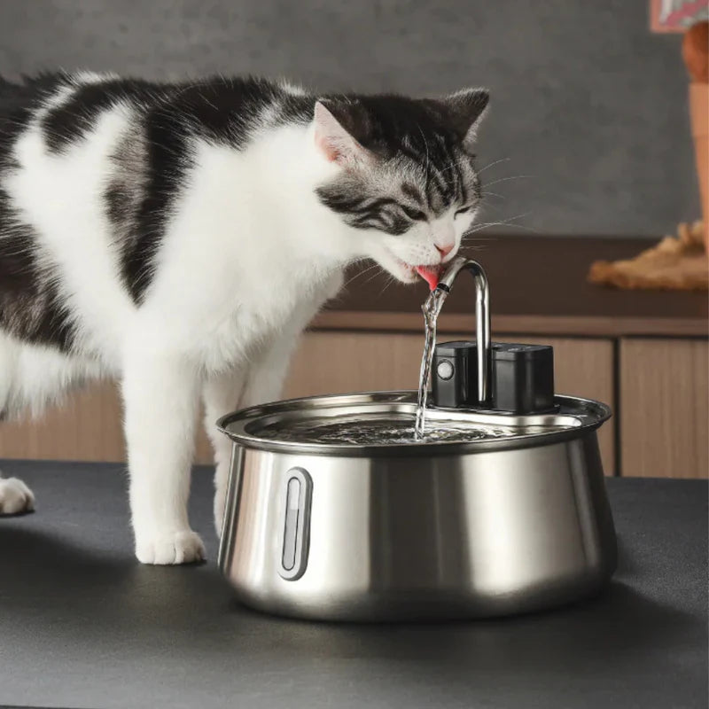 Person holder damprenser i hånden